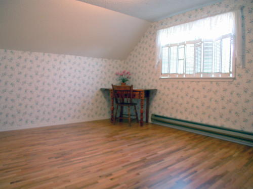 Lower level fireplace